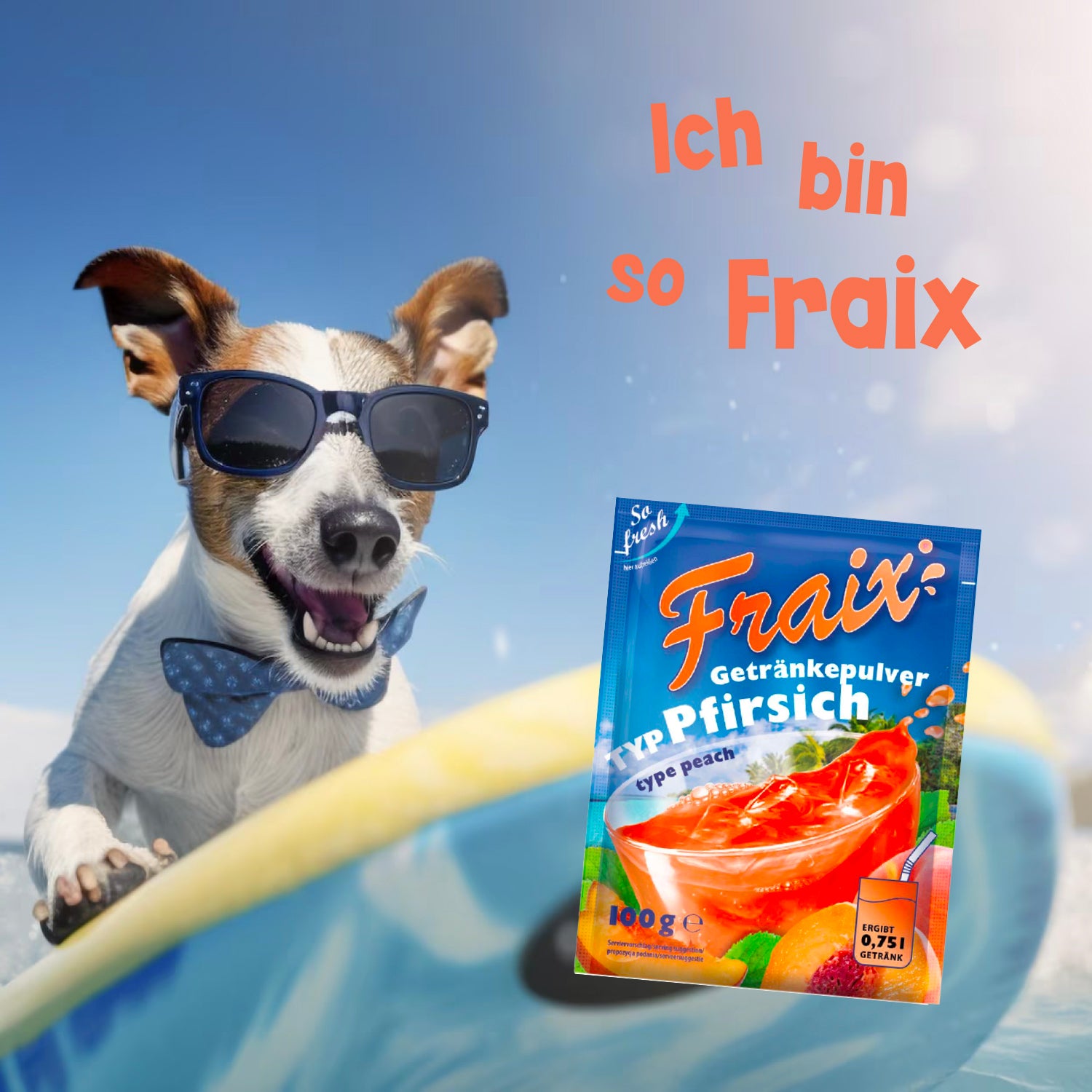 FRAIX Pfirsich 50 x 100g