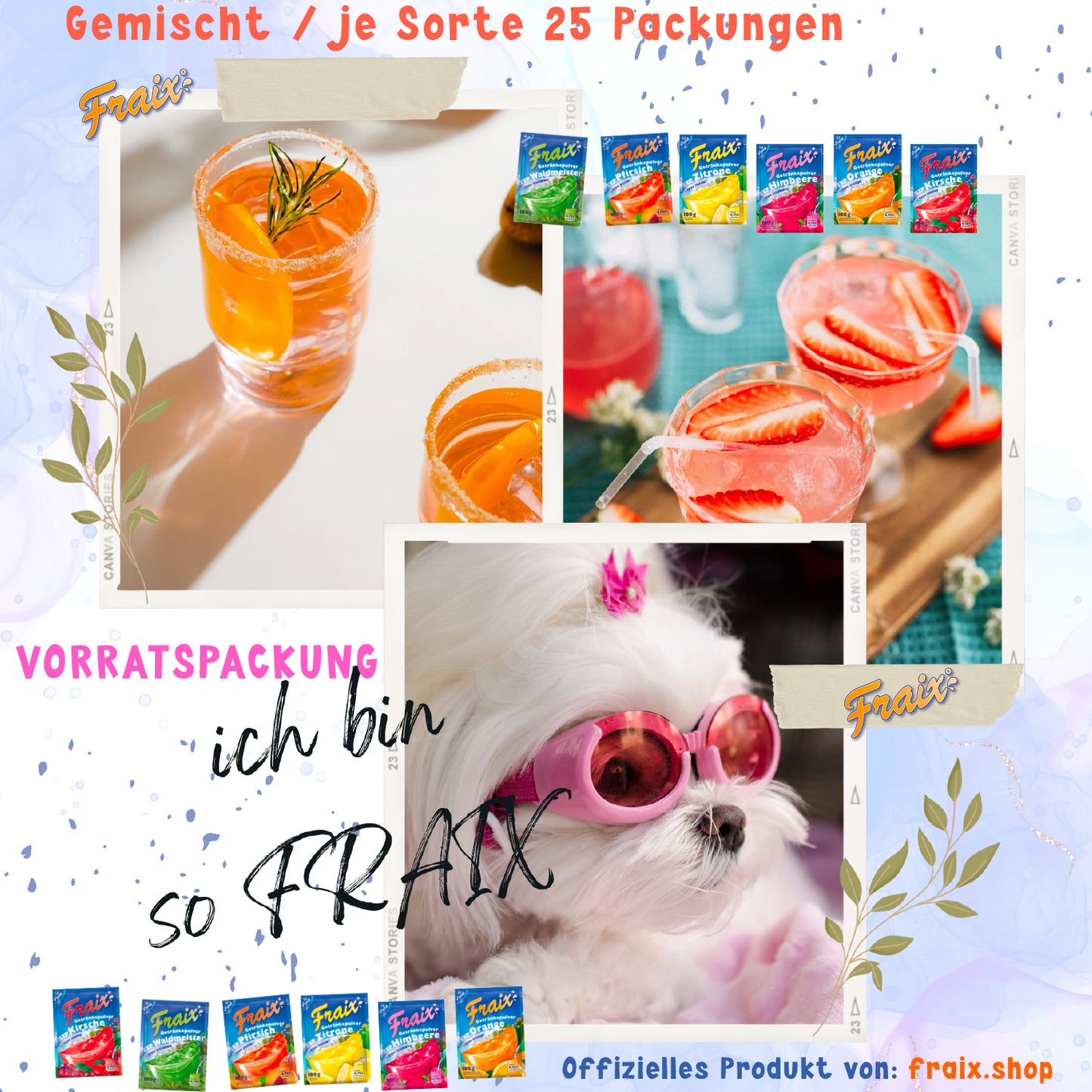 Special Edition: FRAIX Getränkepulver 6 Sorte Mixed (150er Pack x 100g)